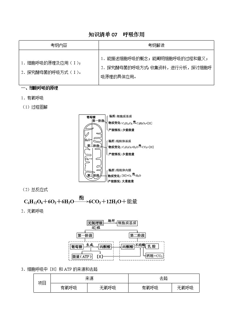 知识清单07  呼吸作用-2022年高考生物一轮复习必背知识清单第1页