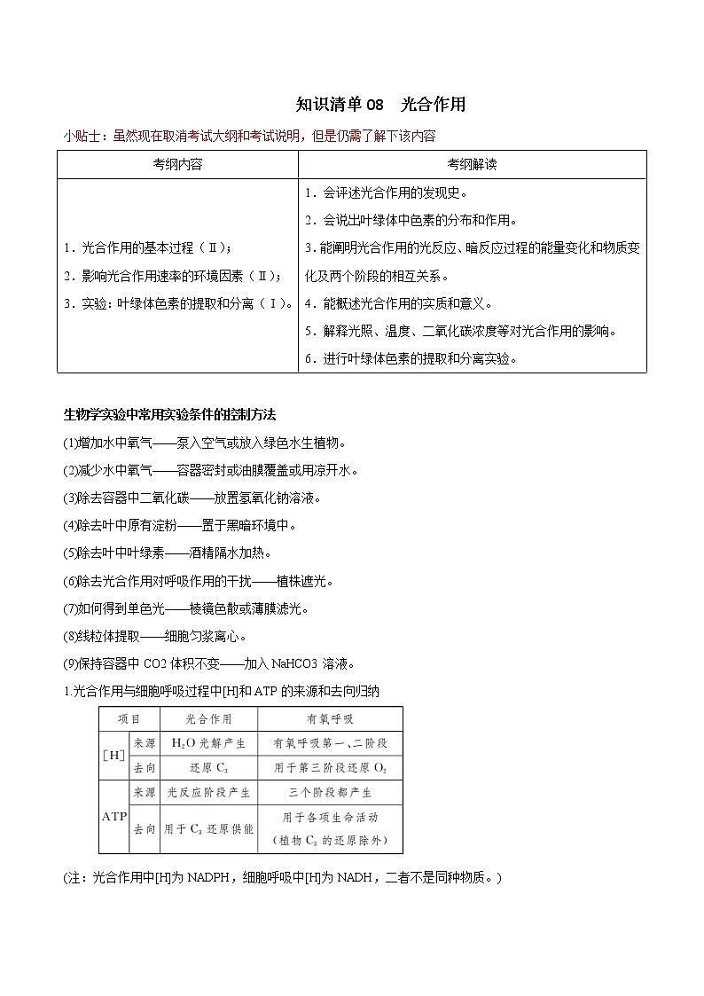 知识清单08  光合作用-2022年高考生物一轮复习必背知识清单第1页