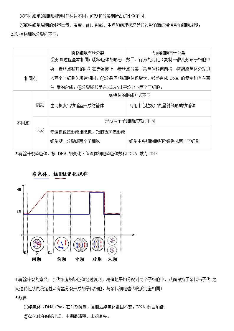 知识清单09  细胞增殖-2022年高考生物一轮复习必背知识清单第3页