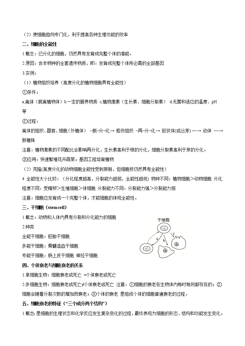 知识清单10  细胞分化与癌变-2022年高考生物一轮复习必背知识清单02