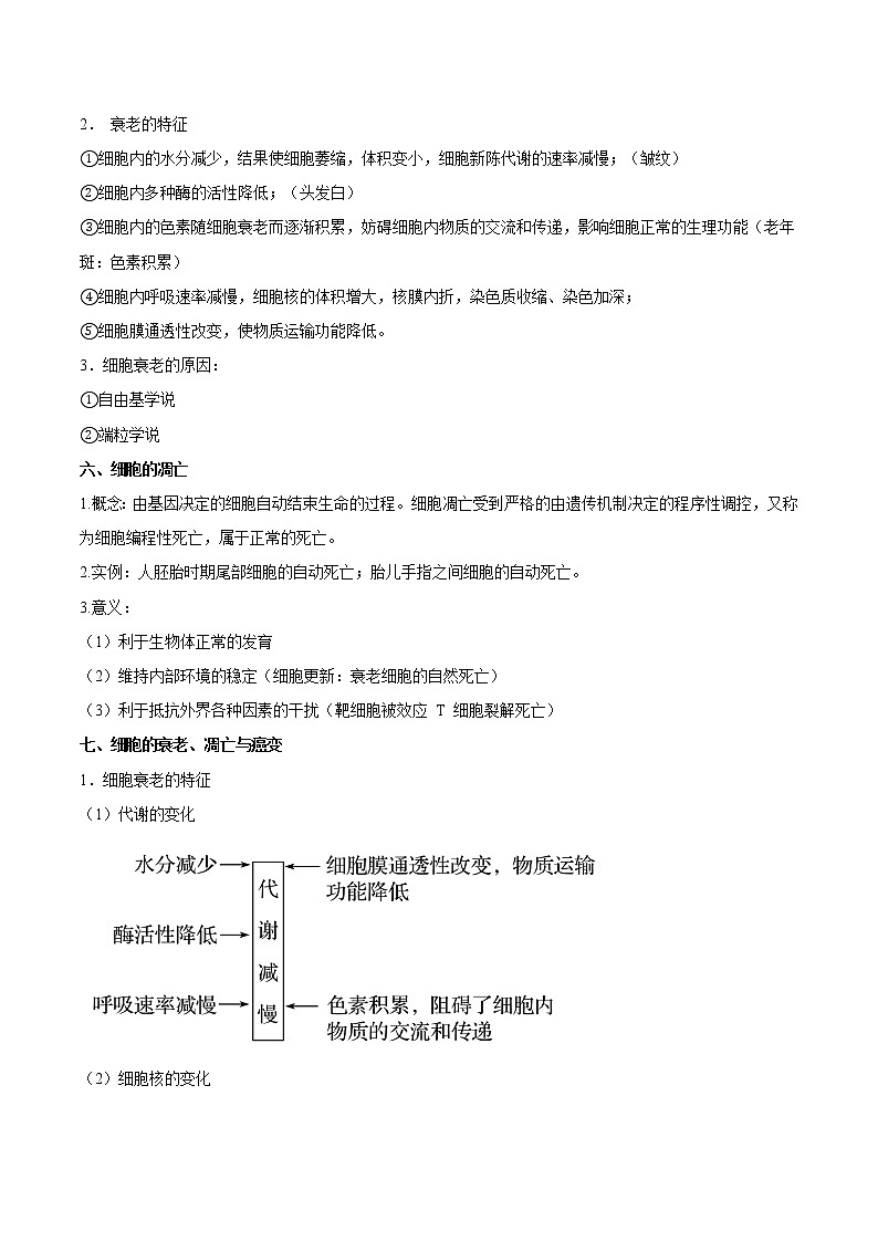知识清单10  细胞分化与癌变-2022年高考生物一轮复习必背知识清单03