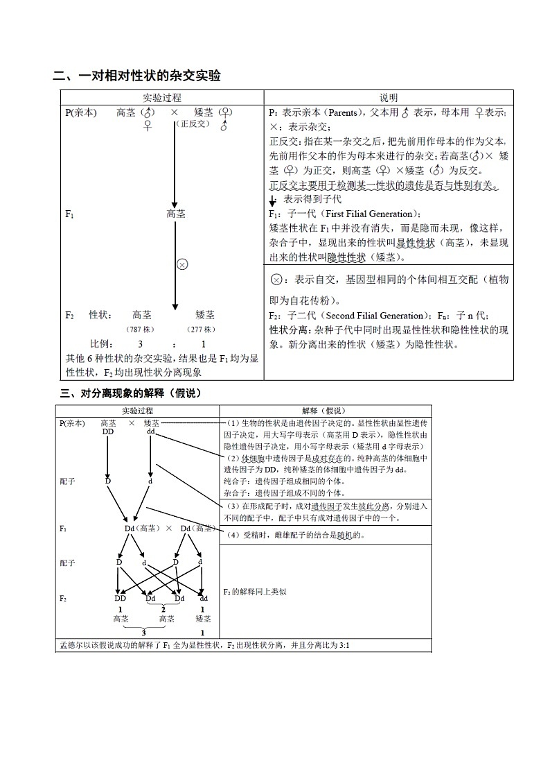 知识清单11  孟德尔遗传定律（一）-2022年高考生物一轮复习必背知识清单第2页