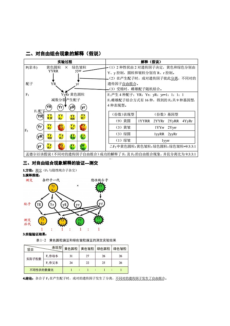 知识清单12  孟德尔遗传定律（二）-2022年高考生物一轮复习必背知识清单第2页