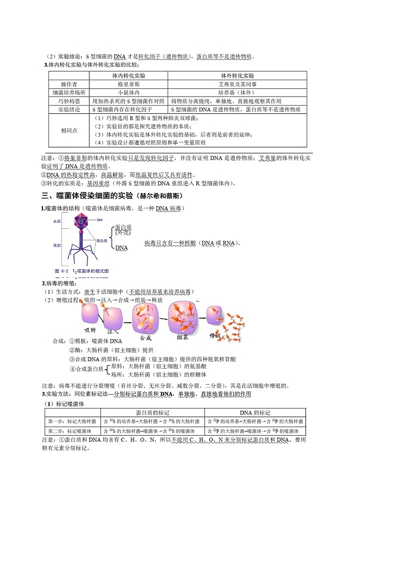 知识清单14  DNA是主要遗传物质-2022年高考生物一轮复习必背知识清单第2页