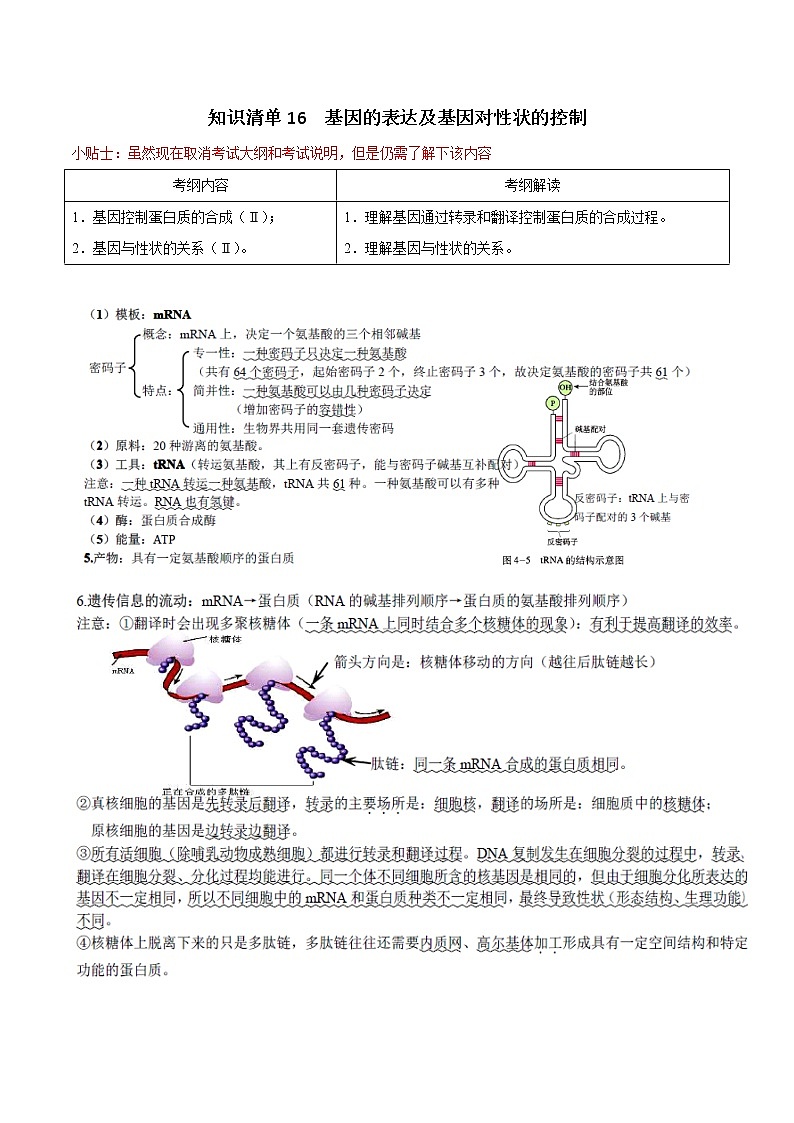 知识清单16  基因的表达及基因对性状的控制-2022年高考生物一轮复习必背知识清单第1页