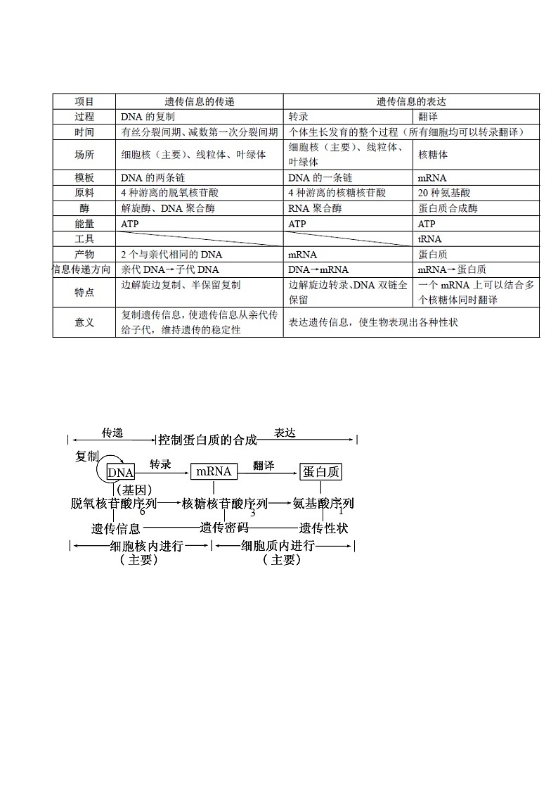 知识清单16  基因的表达及基因对性状的控制-2022年高考生物一轮复习必背知识清单第2页