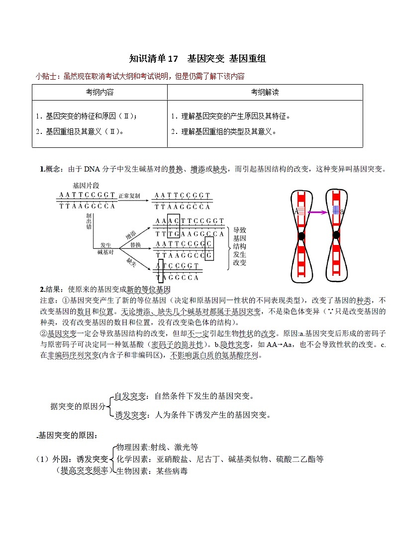 知识清单17  基因突变 基因重组-2022年高考生物一轮复习必背知识清单01
