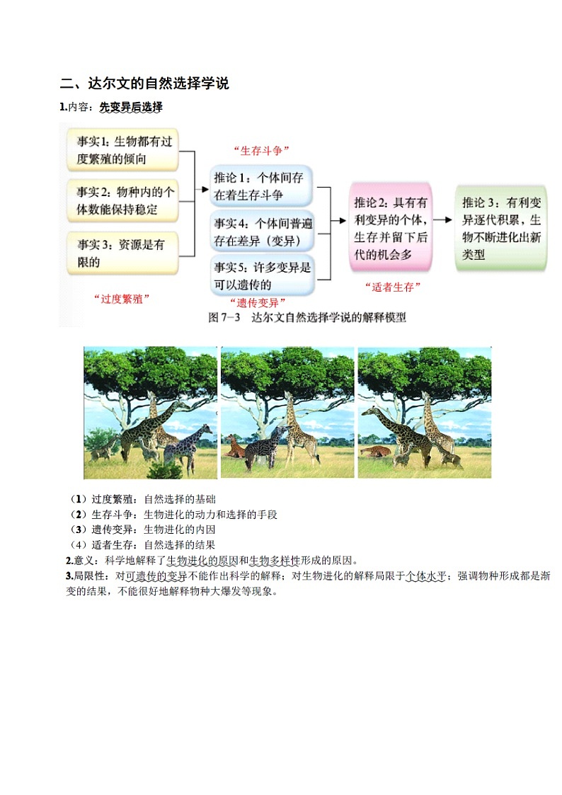 知识清单19  现代生物进化理论-2022年高考生物一轮复习必背知识清单第3页