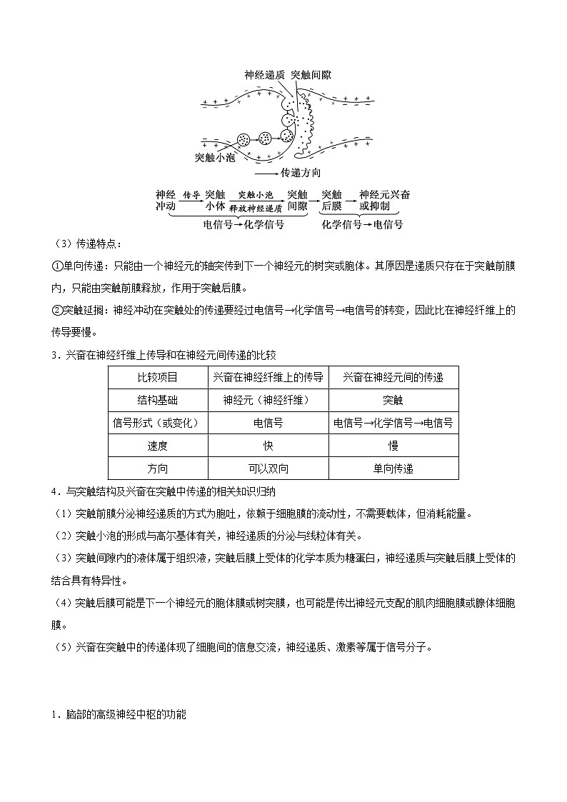 知识清单21  神经调节-2022年高考生物一轮复习必背知识清单第2页