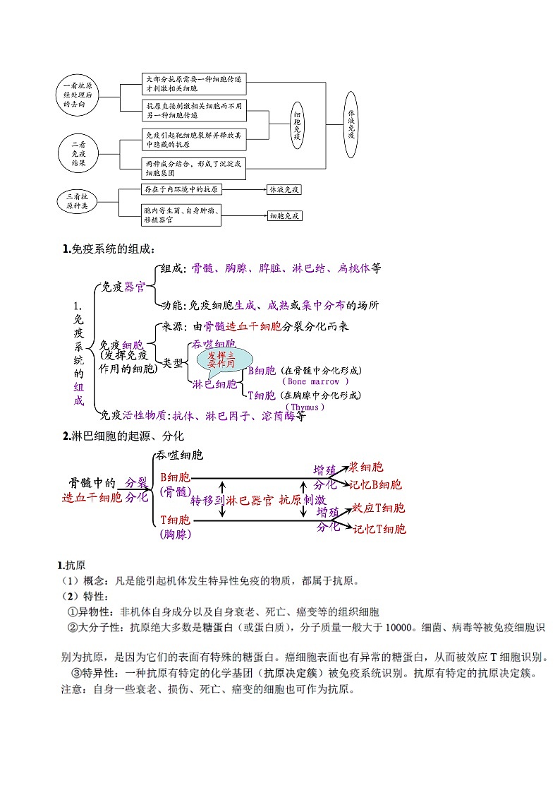 知识清单23  免疫调节-2022年高考生物一轮复习必背知识清单第2页