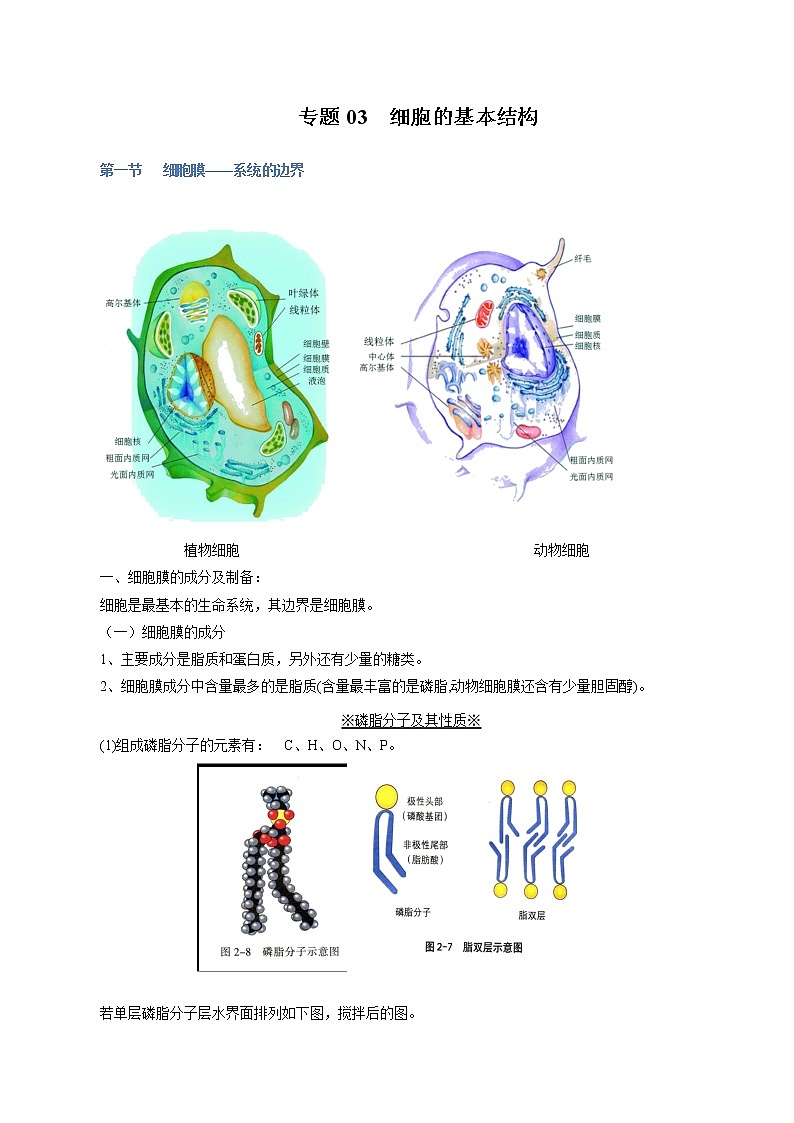 专题03 细胞的基本结构-2022年高考生物一轮复习知识点梳理与归纳第1页