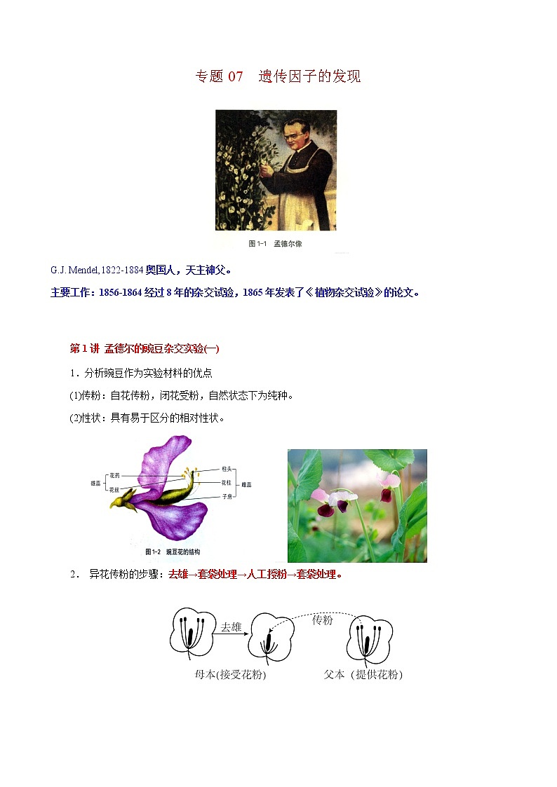 专题07 遗传因子的发现-2022年高考生物一轮复习知识点梳理与归纳第1页