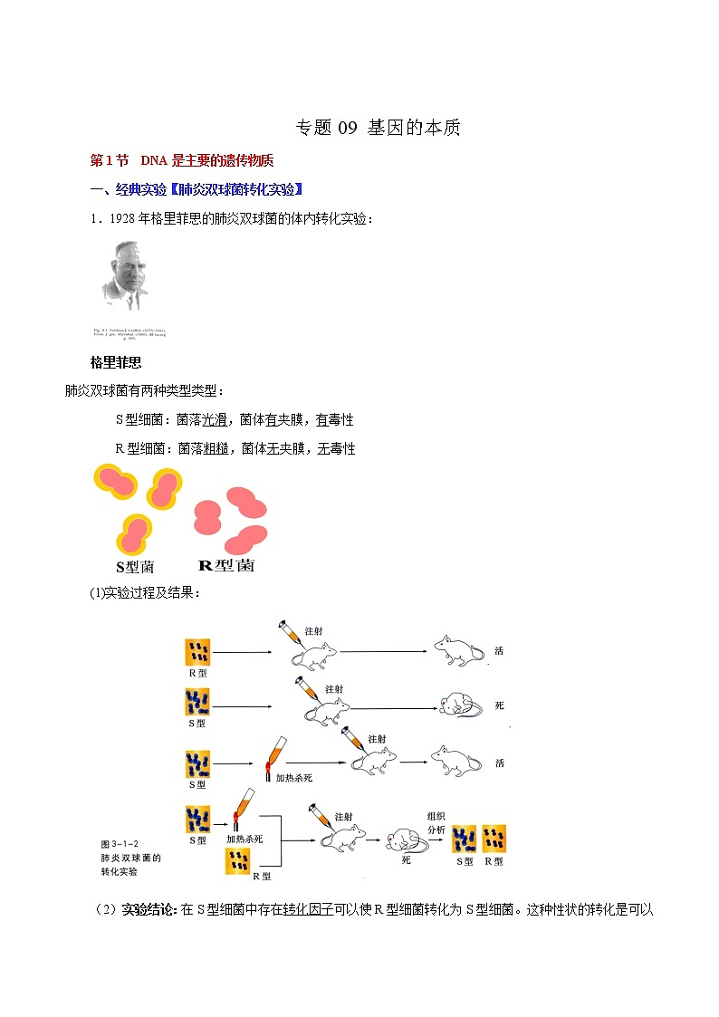 专题09 基因的本质-2022年高考生物一轮复习知识点梳理与归纳第1页