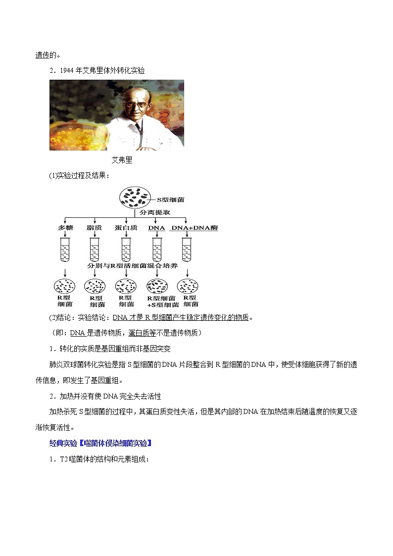 专题09 基因的本质-2022年高考生物一轮复习知识点梳理与归纳第2页