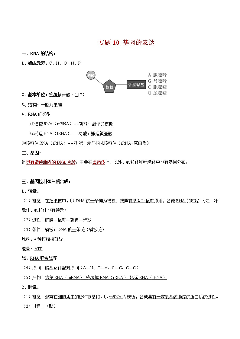 专题10 基因的表达-2022年高考生物一轮复习知识点梳理与归纳第1页