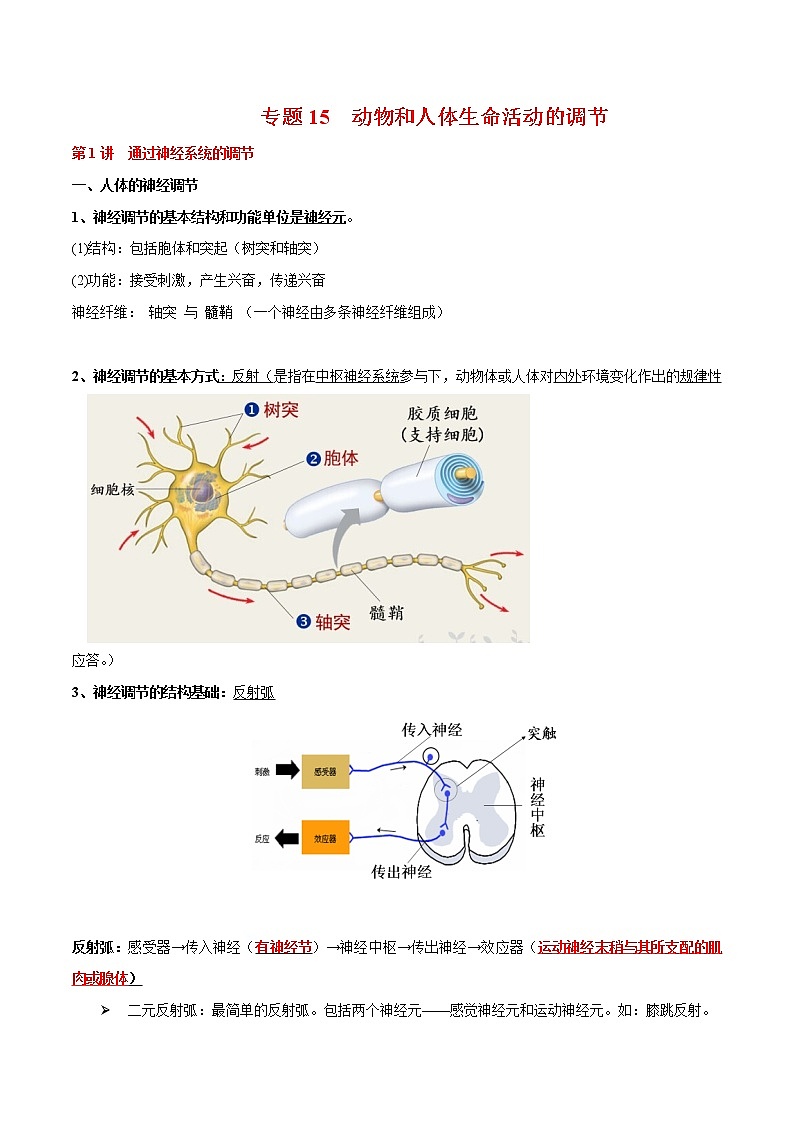 专题15 动物和人体生命活动的调节-2022年高考生物一轮复习知识点梳理与归纳第1页