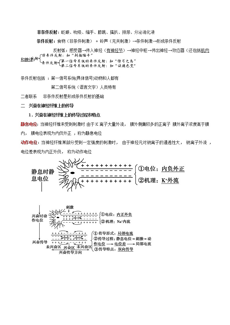 专题15 动物和人体生命活动的调节-2022年高考生物一轮复习知识点梳理与归纳第3页