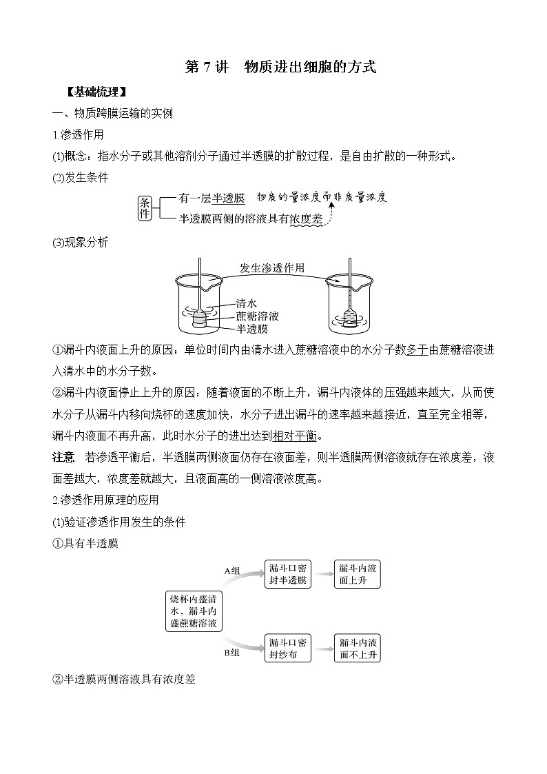 第7讲 物质进出细胞的方式-2022年高考生物一轮复习名师精讲练（新高考地区专用）第1页