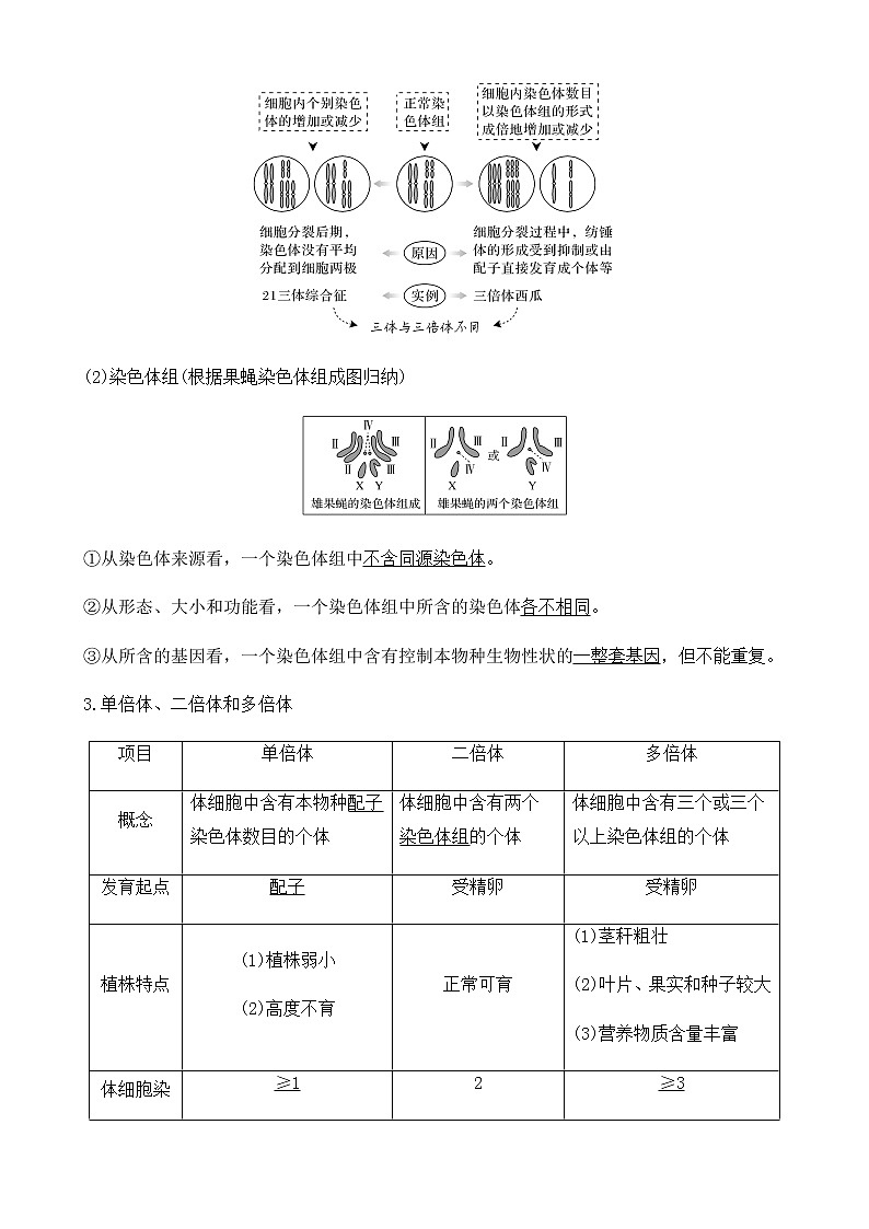 第22讲 染色体变异-2022年高考生物一轮复习名师精讲练（新高考地区专用）第2页