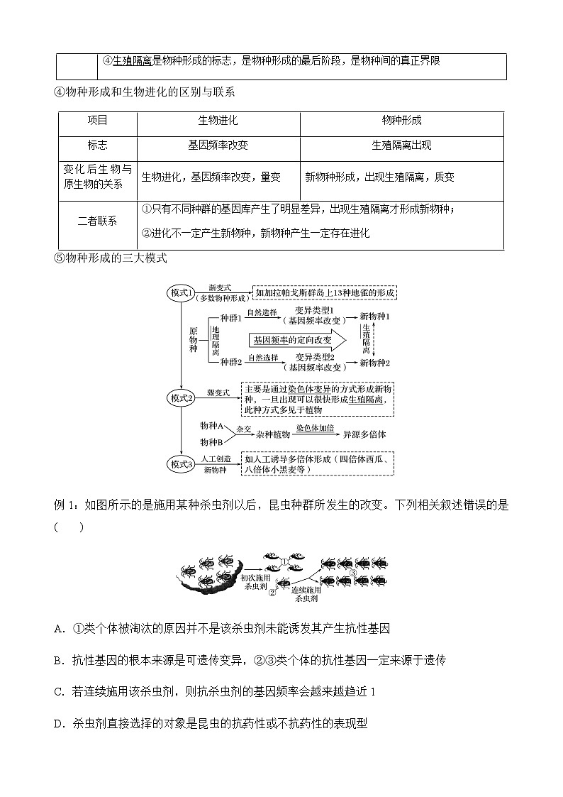 第23讲 生物的进化-2022年高考生物一轮复习名师精讲练（新高考地区专用）第3页