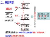 5.1基因突变和基因重组课件-2021-2022学年高一下学期生物人教版（2019）必修2