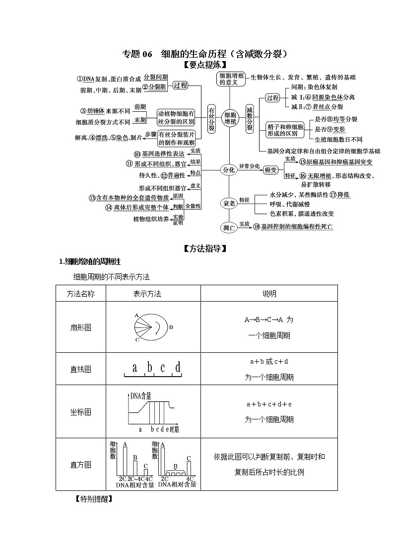 专题06  细胞的生命历程（含减数分裂）-备战 高考生物二轮复习题型专练01
