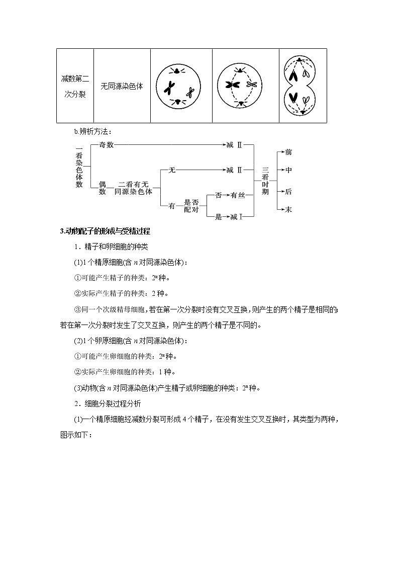 专题06  细胞的生命历程（含减数分裂）-备战 高考生物二轮复习题型专练03