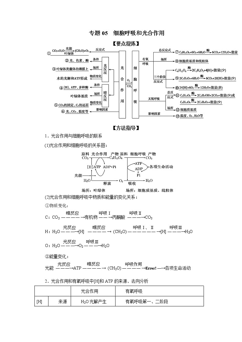 专题05  细胞呼吸和光合作用-备战2022年高考生物二轮复习题型专练（解析版）第1页