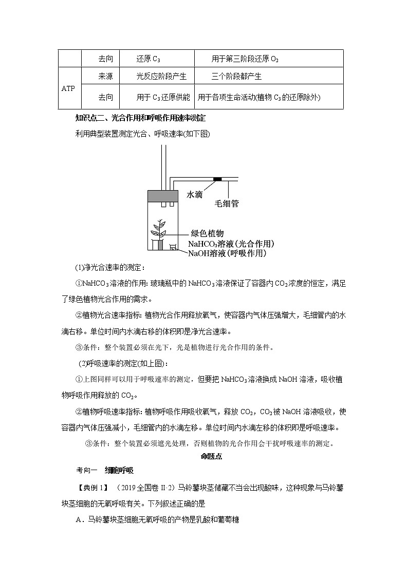 专题05  细胞呼吸和光合作用-备战2022年高考生物二轮复习题型专练（解析版）第2页