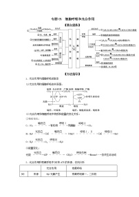 专题05  细胞呼吸和光合作用-备战 高考生物二轮复习题型专练