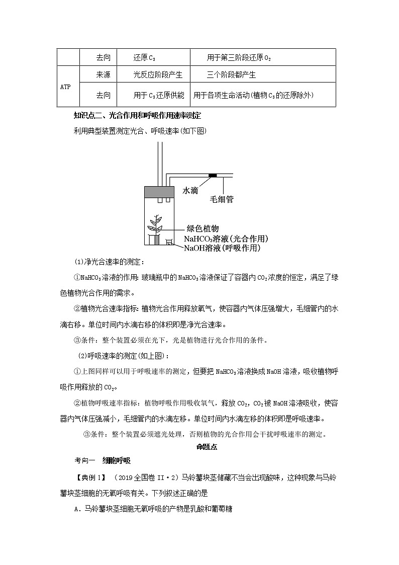 专题05  细胞呼吸和光合作用-备战2022年高考生物二轮复习题型专练（原卷版）第2页