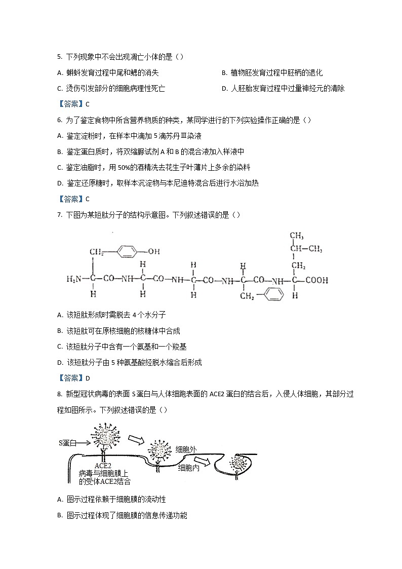 2022金华十校高一上学期期末考试生物含答案02