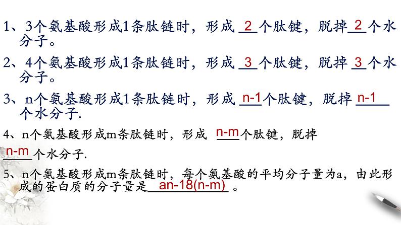 2.4.2 蛋白质是生命活动的主要承担者 课件(共15张PPT)07