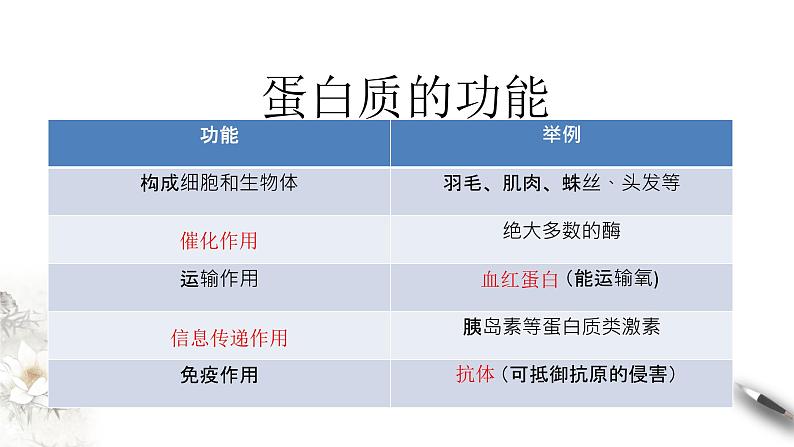 2.4.1 蛋白质是生命活动的主要承担者 课件(共12张PPT)第3页