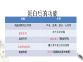 2.4.1 蛋白质是生命活动的主要承担者 课件(共12张PPT)