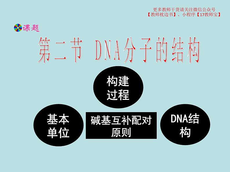 3.2  DNA的结构课件PPT第1页