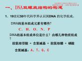 3.2  DNA的结构课件PPT