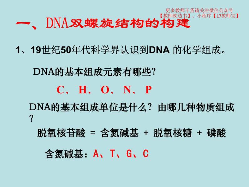 3.2  DNA的结构课件PPT02