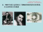 3.2  DNA的结构课件PPT