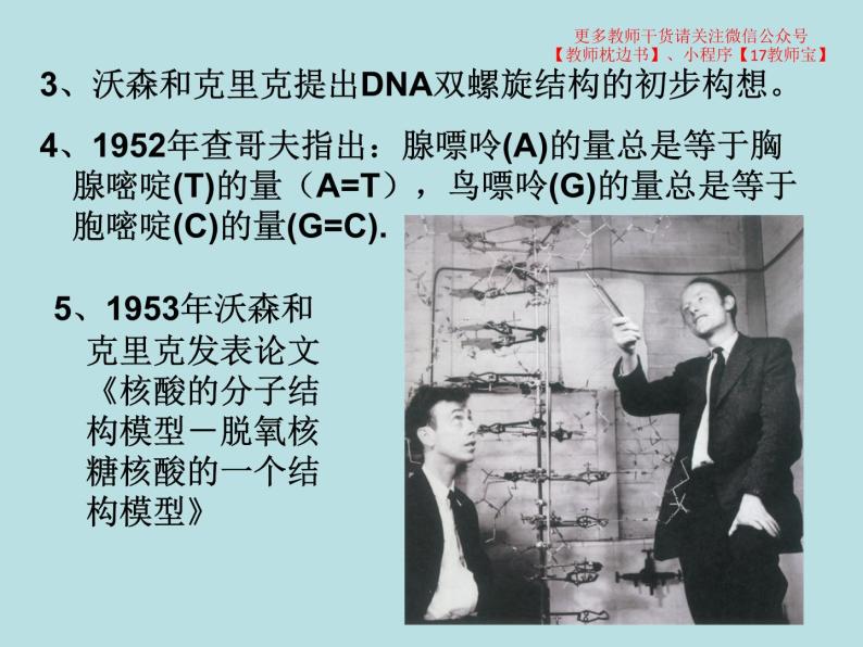 3.2  DNA的结构课件PPT04