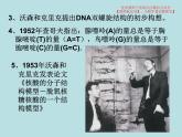 3.2  DNA的结构课件PPT