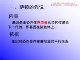 2.2 基因在染色体上课件PPT