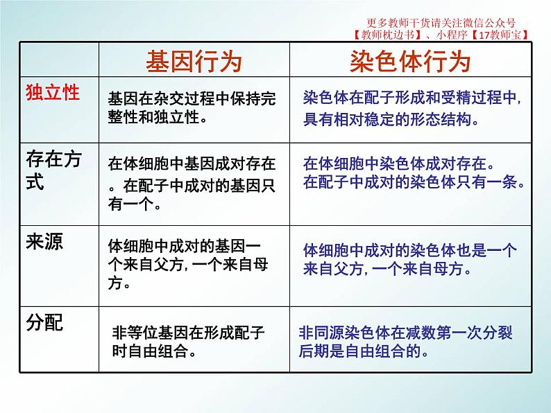 2.2 基因在染色体上课件PPT第5页