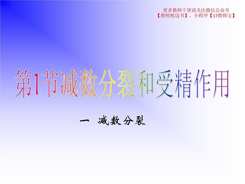 2.1.1减数分裂课件PPT第2页