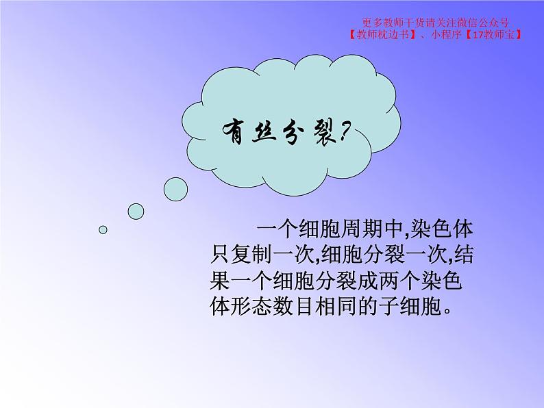 2.1.1减数分裂课件PPT第3页