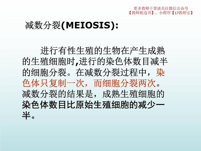 2.1.1减数分裂课件PPT第5页