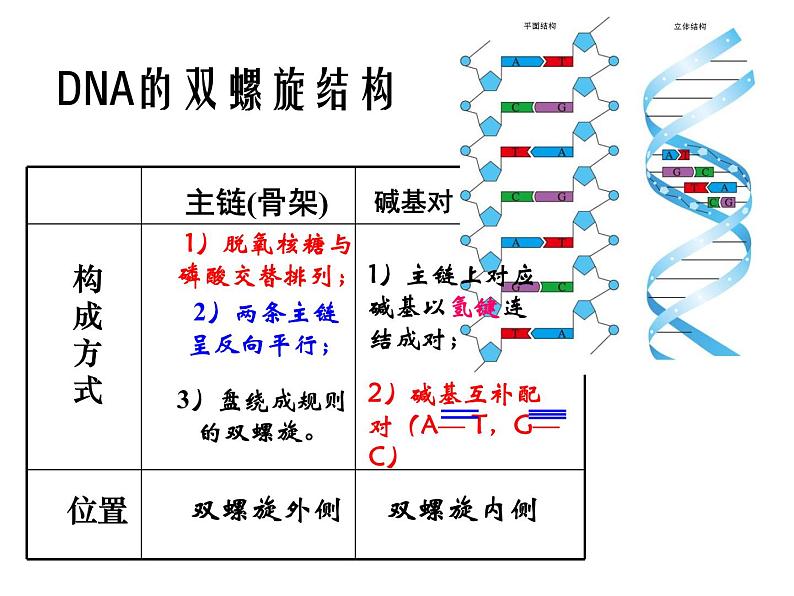 3.3 DNA的复制课件PPT第1页