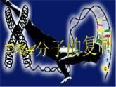 3.3 DNA的复制课件PPT