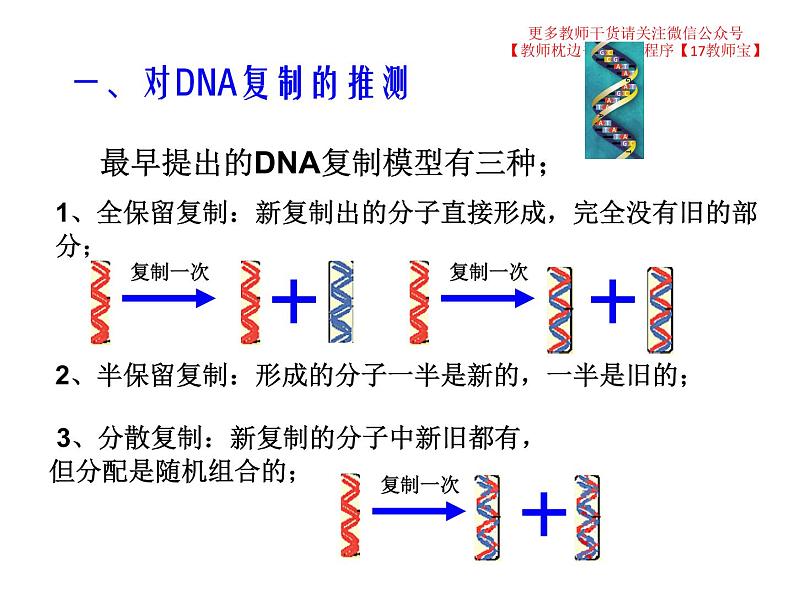 3.3 DNA的复制课件PPT第4页