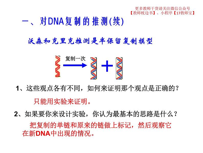 3.3 DNA的复制课件PPT第5页